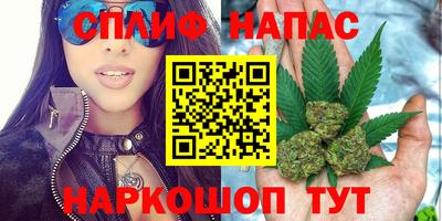 каннабис Будённовск