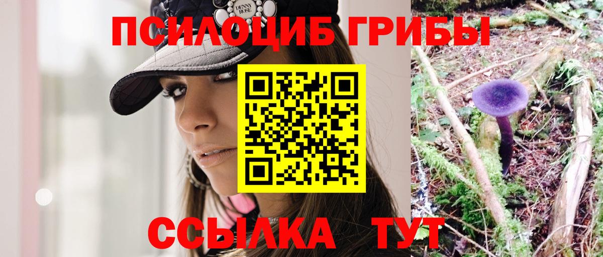 Галлюциногенные грибы Psilocybe  Псилоцибиновые грибы GOLDEN TEACHER  Вход с VPN  Моздок 